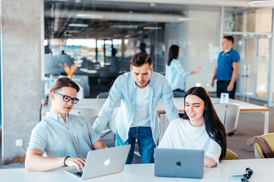 software developers coding